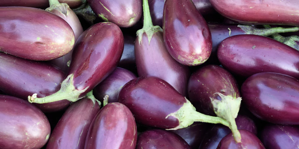 Eggplant2
