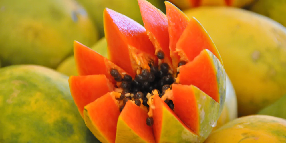 Papaya5