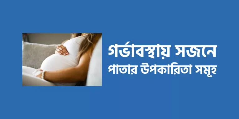 গর্ভাবস্থায় সজনে পাতার উপকারিতা সমূহ
