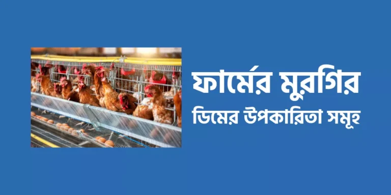 ফার্মের মুরগির ডিমের উপকারিতা সমূহ