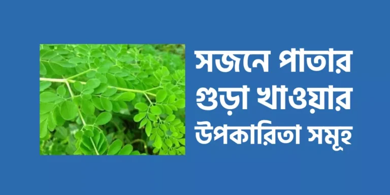 সজনে পাতার গুড়া খাওয়ার উপকারিতা সমূহ