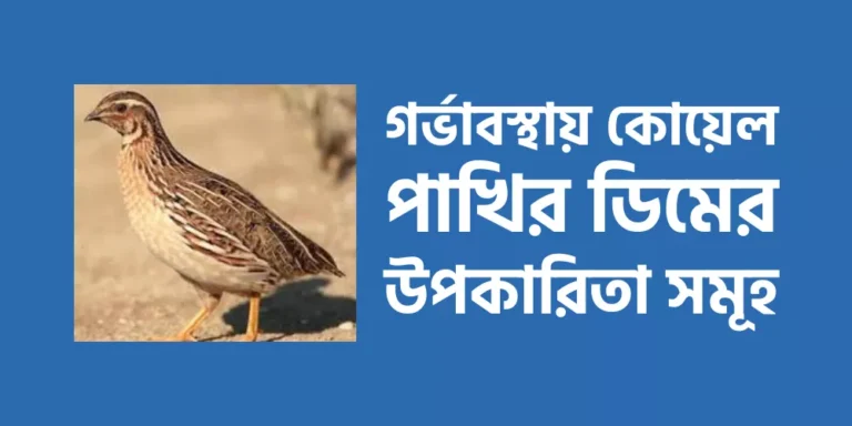 গর্ভাবস্থায় কোয়েল পাখির ডিমের উপকারিতা সমূহ