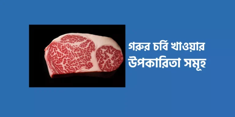 গরুর চর্বি খাওয়ার উপকারিতা সমূহ
