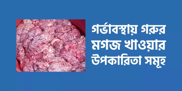 গর্ভাবস্থায় গরুর মগজ খাওয়ার উপকারিতা সমূহ
