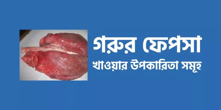 গরুর ফেপসা খাওয়ার উপকারিতা সমূহ