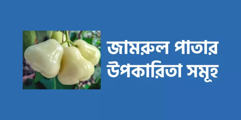 জামরুল পাতার উপকারিতা সমূহ