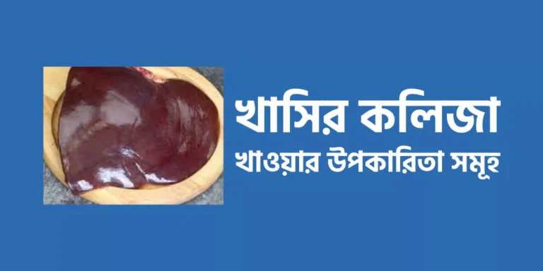 খাসির কলিজা খাওয়ার উপকারিতা সমূহ