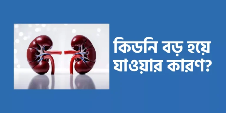 কিডনি বড় হয়ে যাওয়ার কারণ?