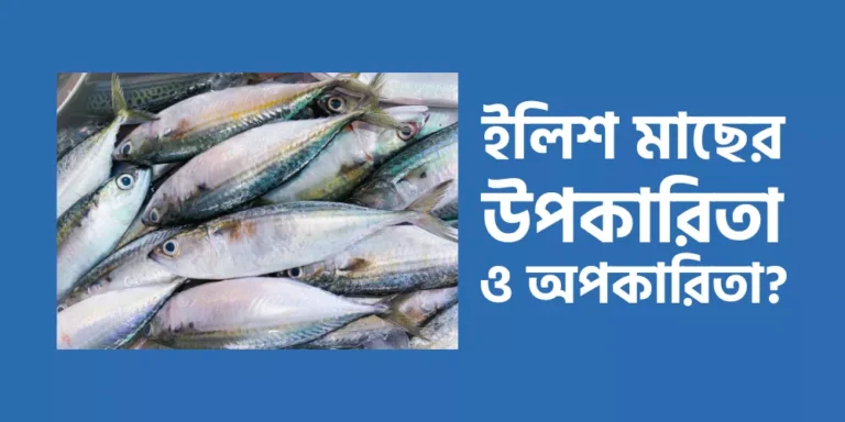 ইলিশ মাছের উপকারিতা ও অপকারিতা?