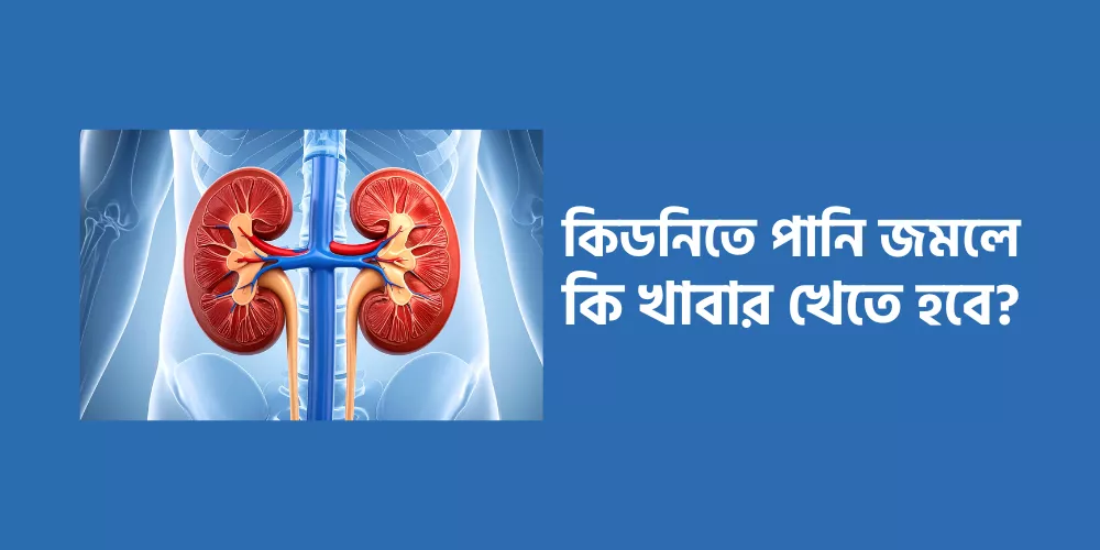 Kidney1